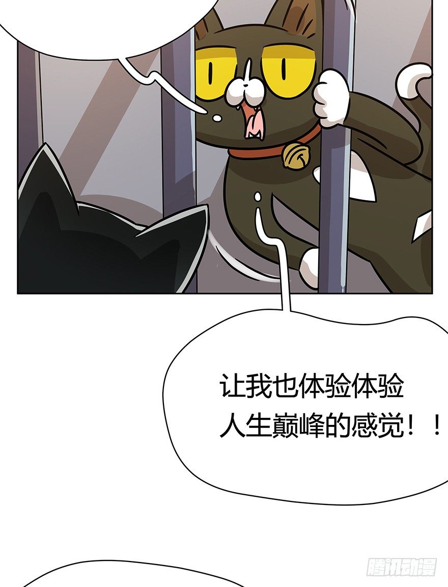 《回到过去变成猫外传》第102爪 抉择（上） 第20页