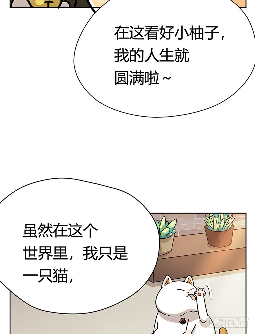 《回到过去变成猫外传》第102爪 抉择（上） 第22页