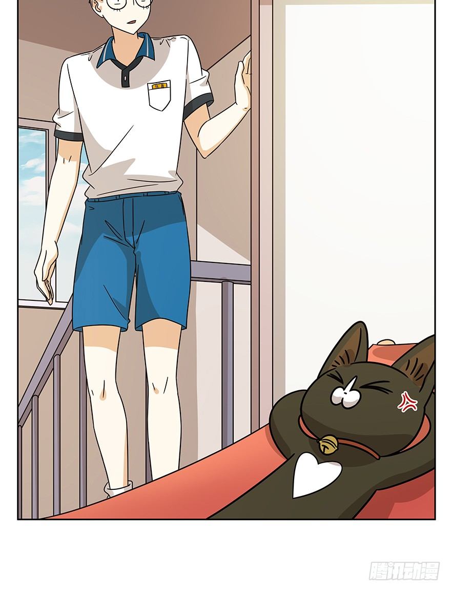 《回到过去变成猫外传》第102爪 抉择（上） 第24页