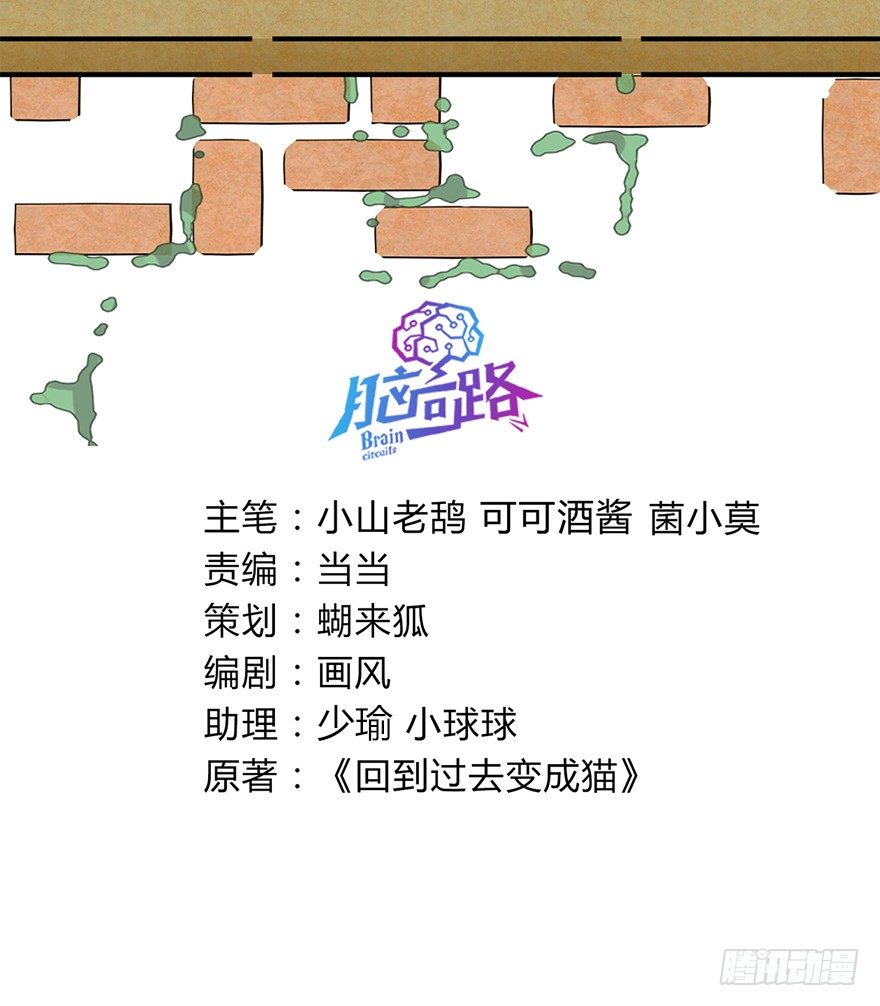 《回到过去变成猫外传》第102爪 抉择（上） 第3页