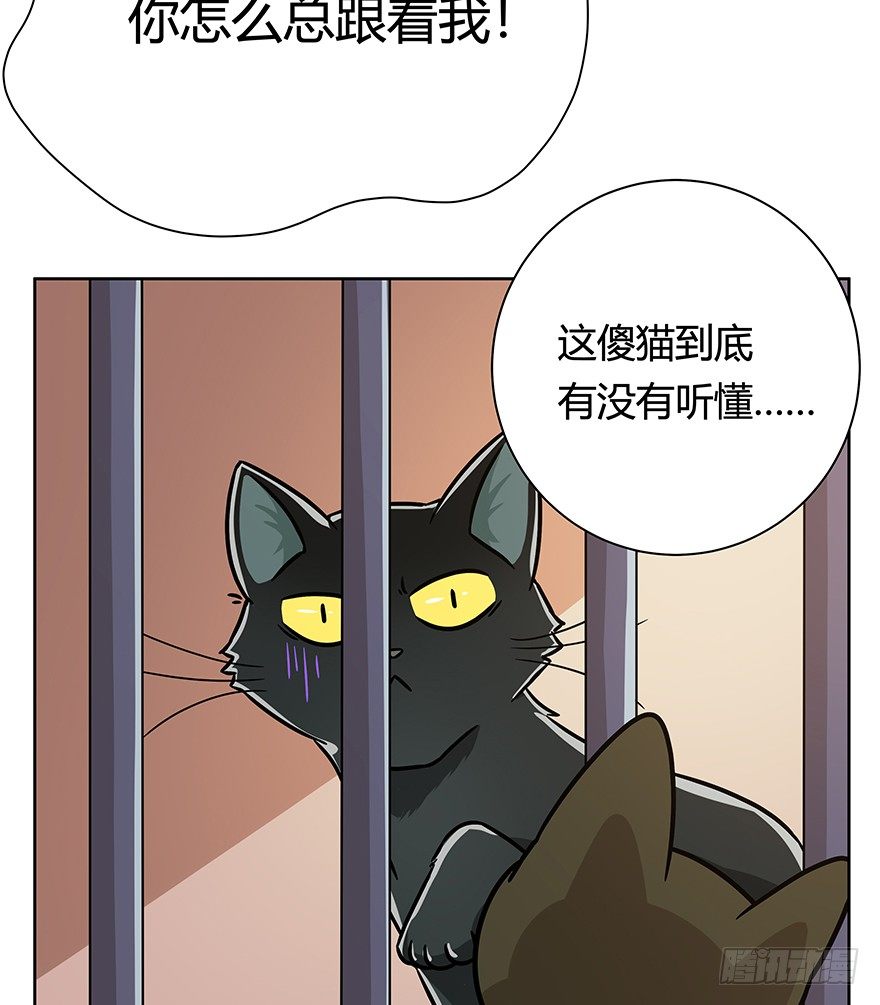 《回到过去变成猫外传》第102爪 抉择（上） 第6页