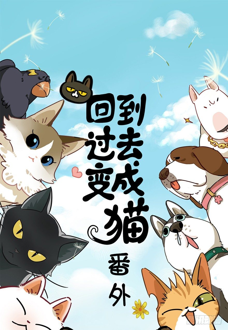 《回到过去变成猫外传》第106爪 阴差阳错（下） 第1页