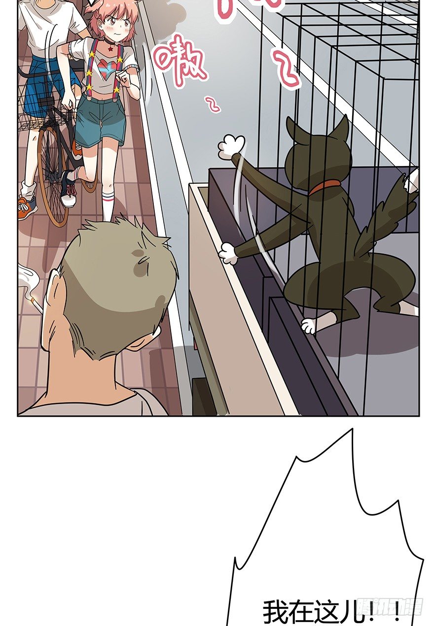 《回到过去变成猫外传》第106爪 阴差阳错（下） 第4页