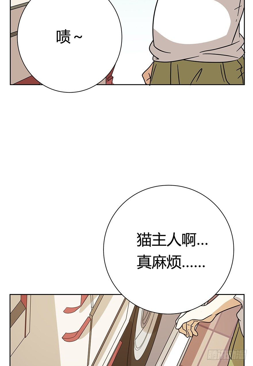 《回到过去变成猫外传》第106爪 阴差阳错（下） 第6页