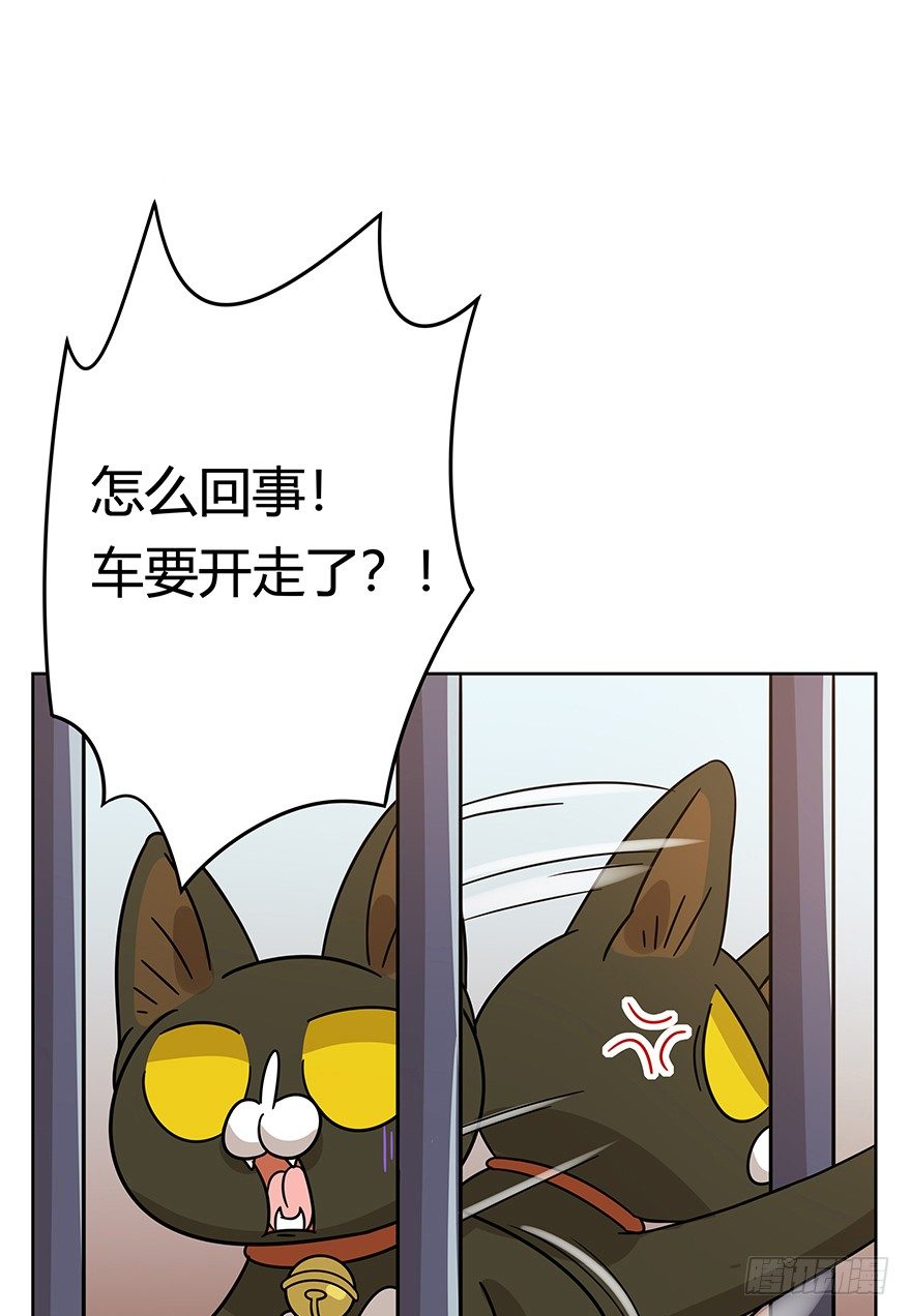 《回到过去变成猫外传》第106爪 阴差阳错（下） 第9页