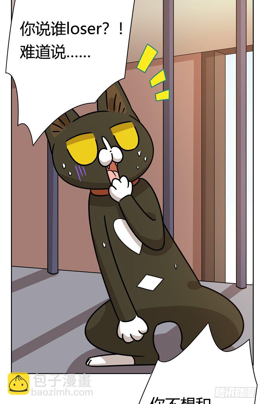 《回到过去变成猫外传》第103爪 抉择（下） 第11页