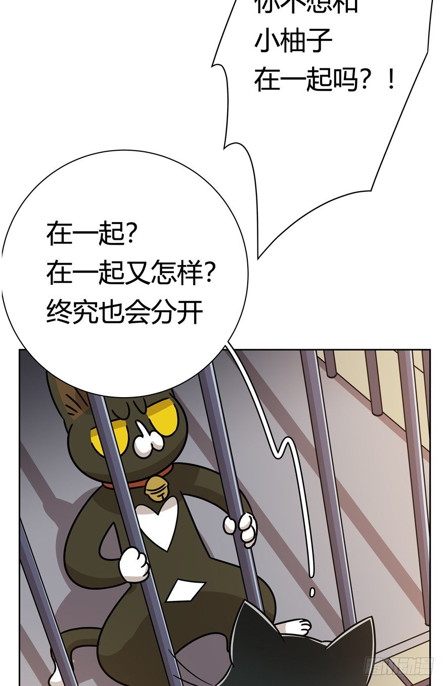 《回到过去变成猫外传》第103爪 抉择（下） 第12页