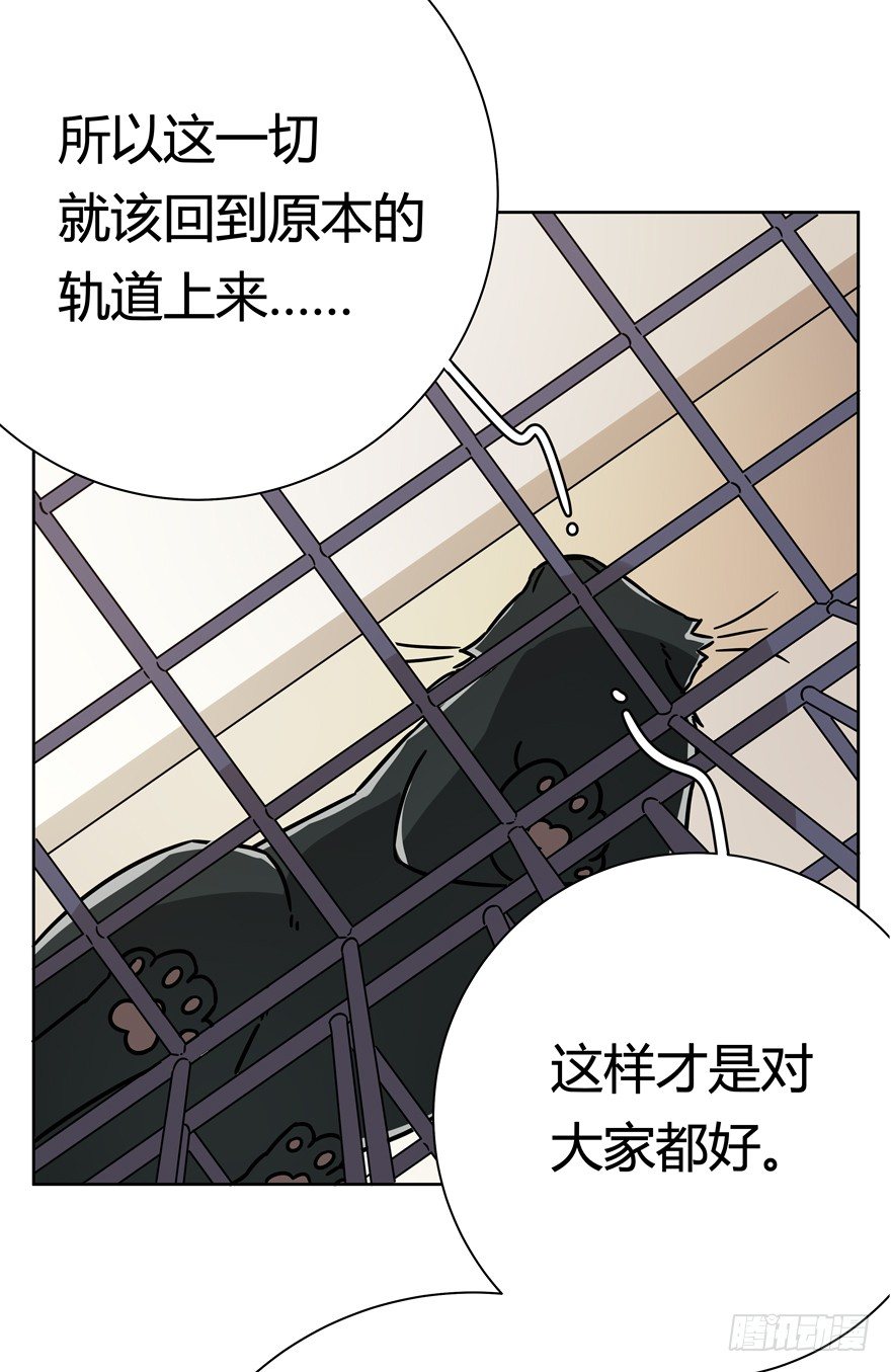 《回到过去变成猫外传》第103爪 抉择（下） 第16页