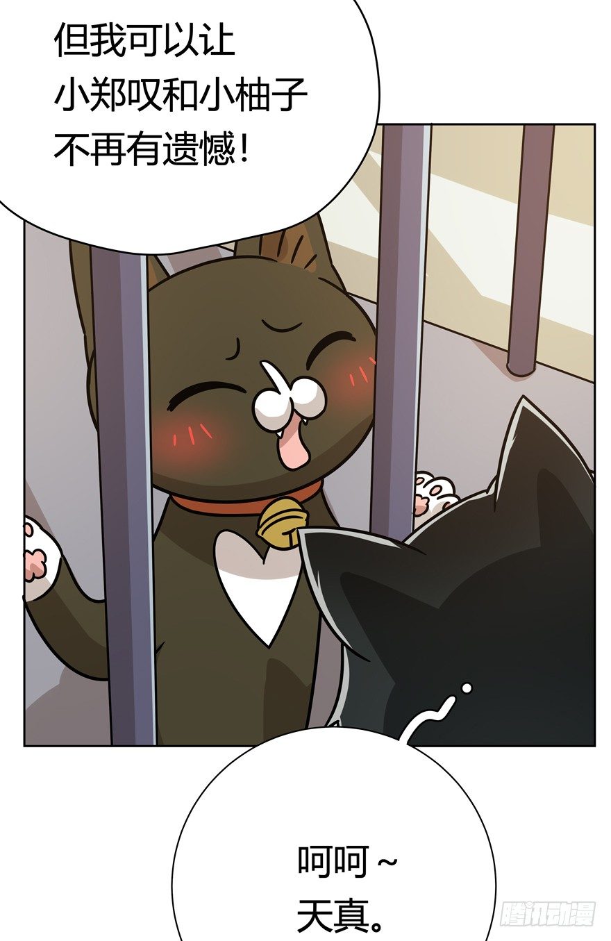 《回到过去变成猫外传》第103爪 抉择（下） 第5页
