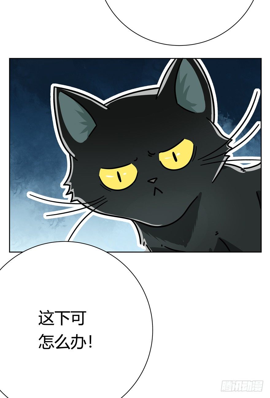 《回到过去变成猫外传》第105爪 阴差阳错（上） 第13页