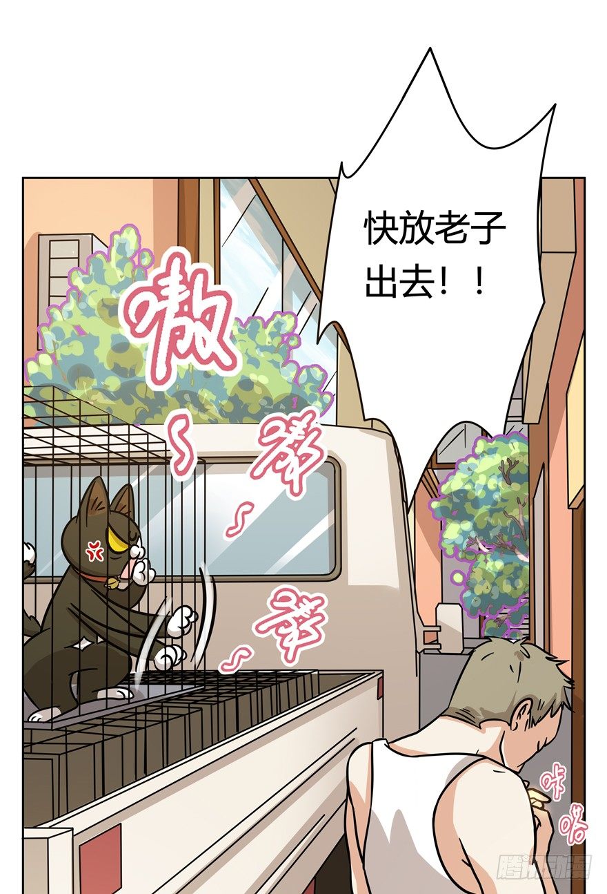 《回到过去变成猫外传》第105爪 阴差阳错（上） 第17页