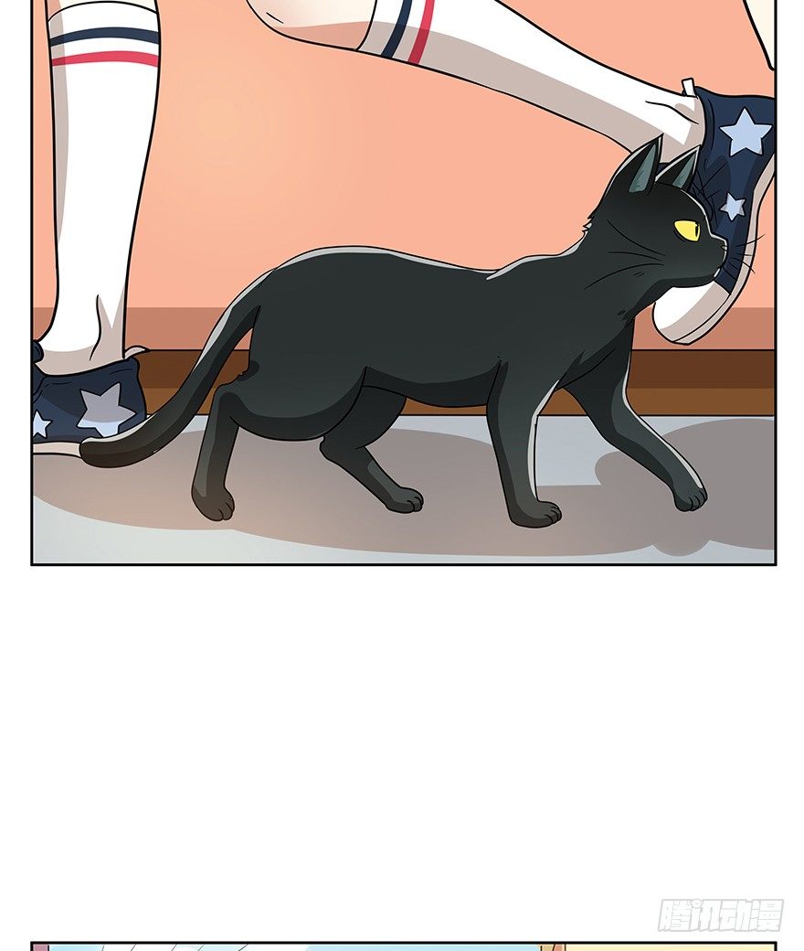《回到过去变成猫外传》第104爪 下定决心 第12页