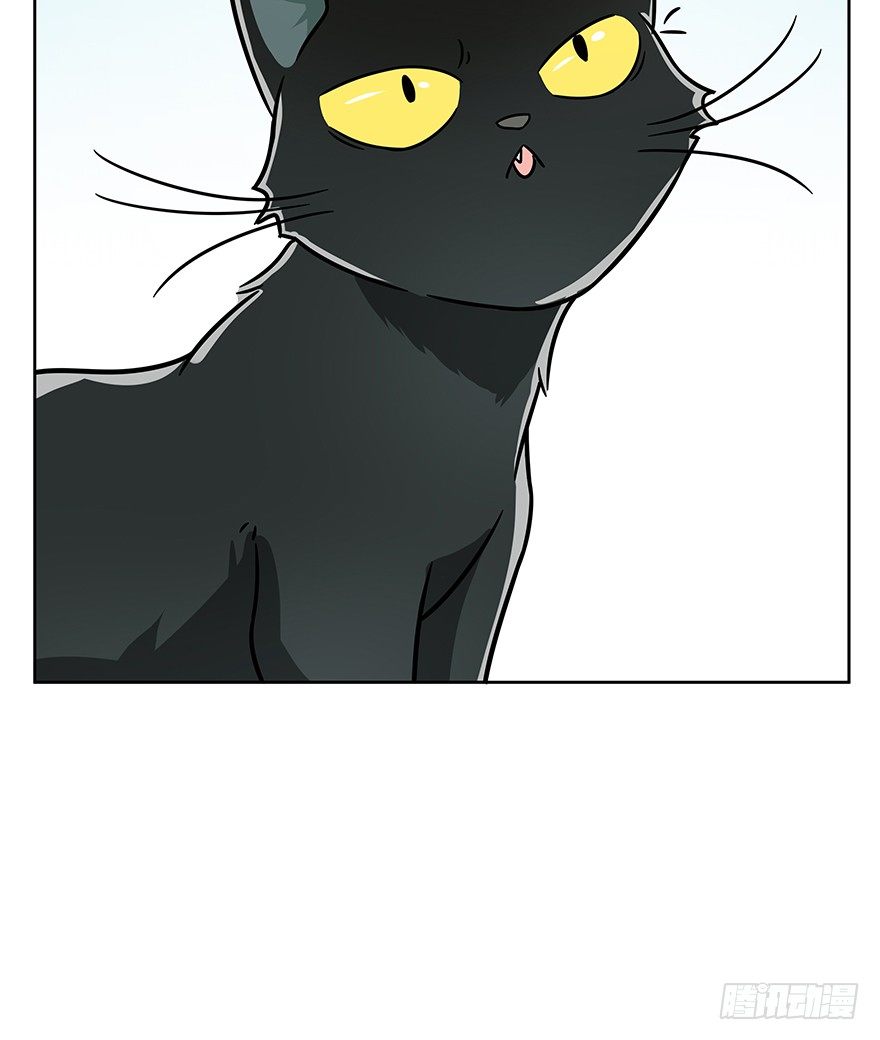 《回到过去变成猫外传》第104爪 下定决心 第18页