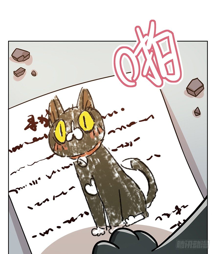 《回到过去变成猫外传》第104爪 下定决心 第19页