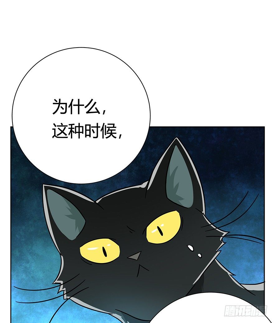 《回到过去变成猫外传》第104爪 下定决心 第34页