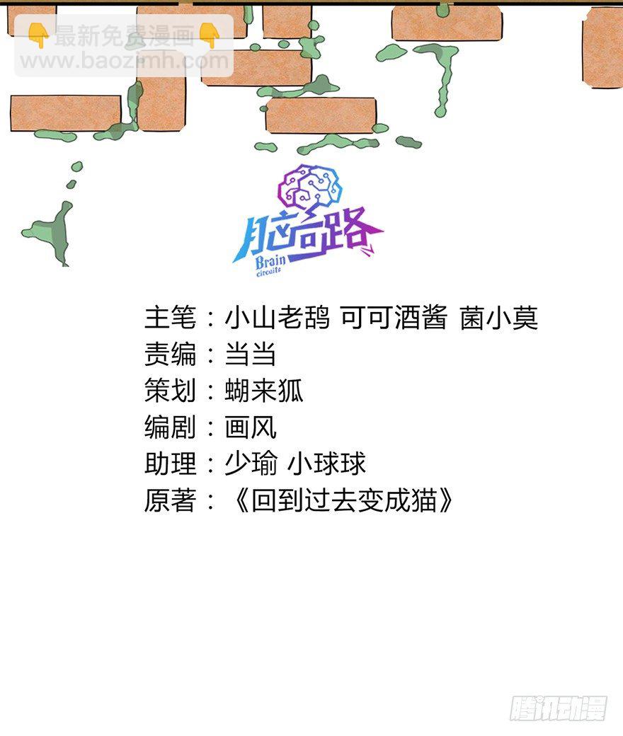 《回到过去变成猫外传》第104爪 下定决心 第3页