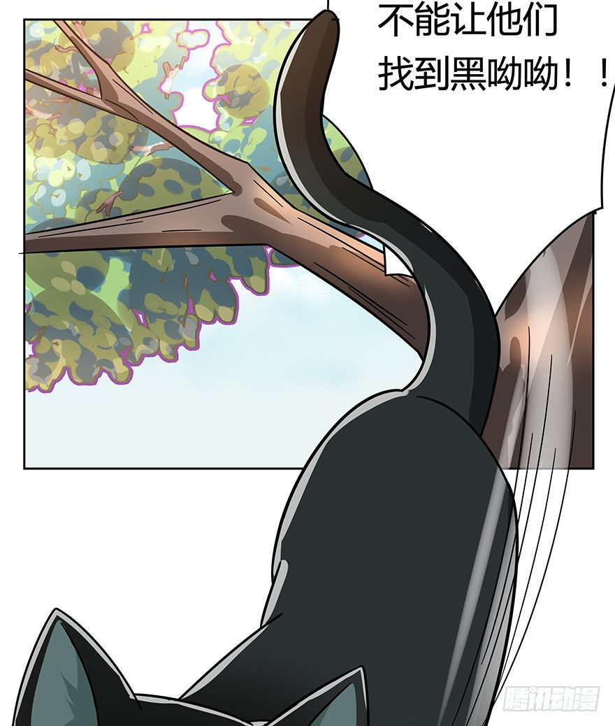 《回到过去变成猫外传》第104爪 下定决心 第41页