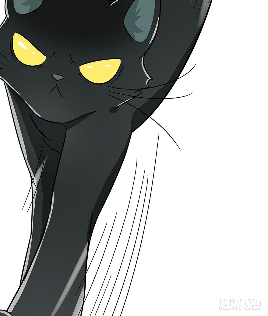 《回到过去变成猫外传》第104爪 下定决心 第42页