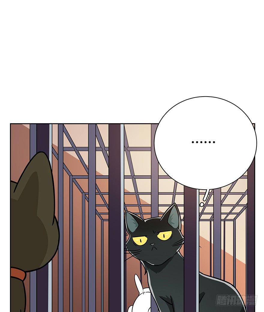 《回到过去变成猫外传》第104爪 下定决心 第4页