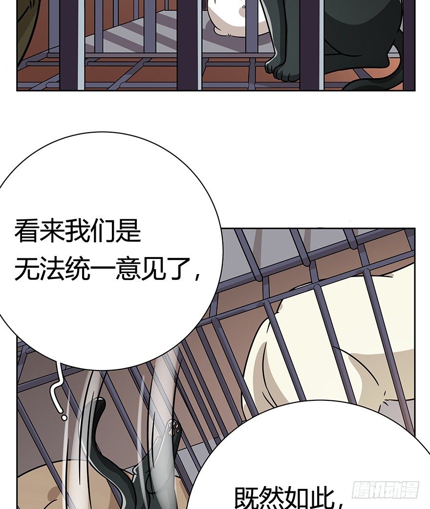 《回到过去变成猫外传》第104爪 下定决心 第5页