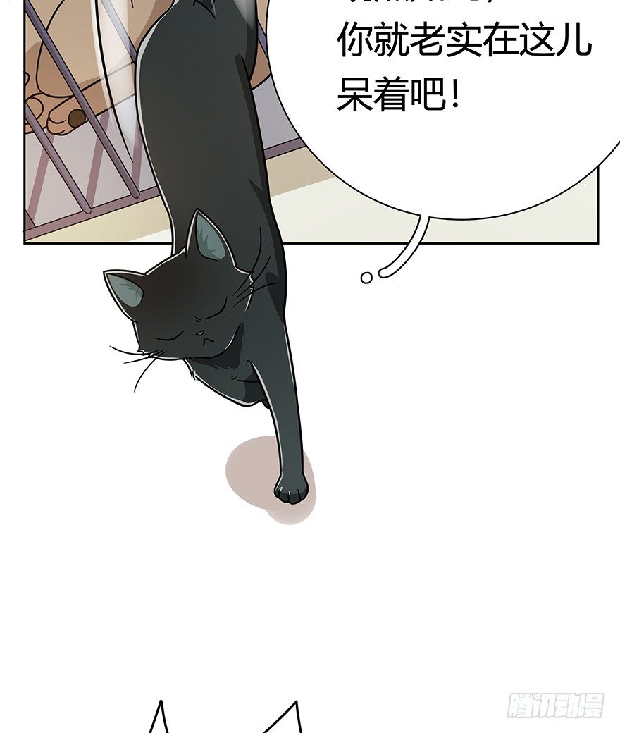 《回到过去变成猫外传》第104爪 下定决心 第6页