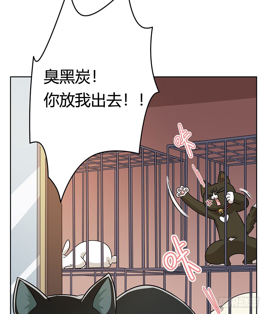 《回到过去变成猫外传》第104爪 下定决心 第7页