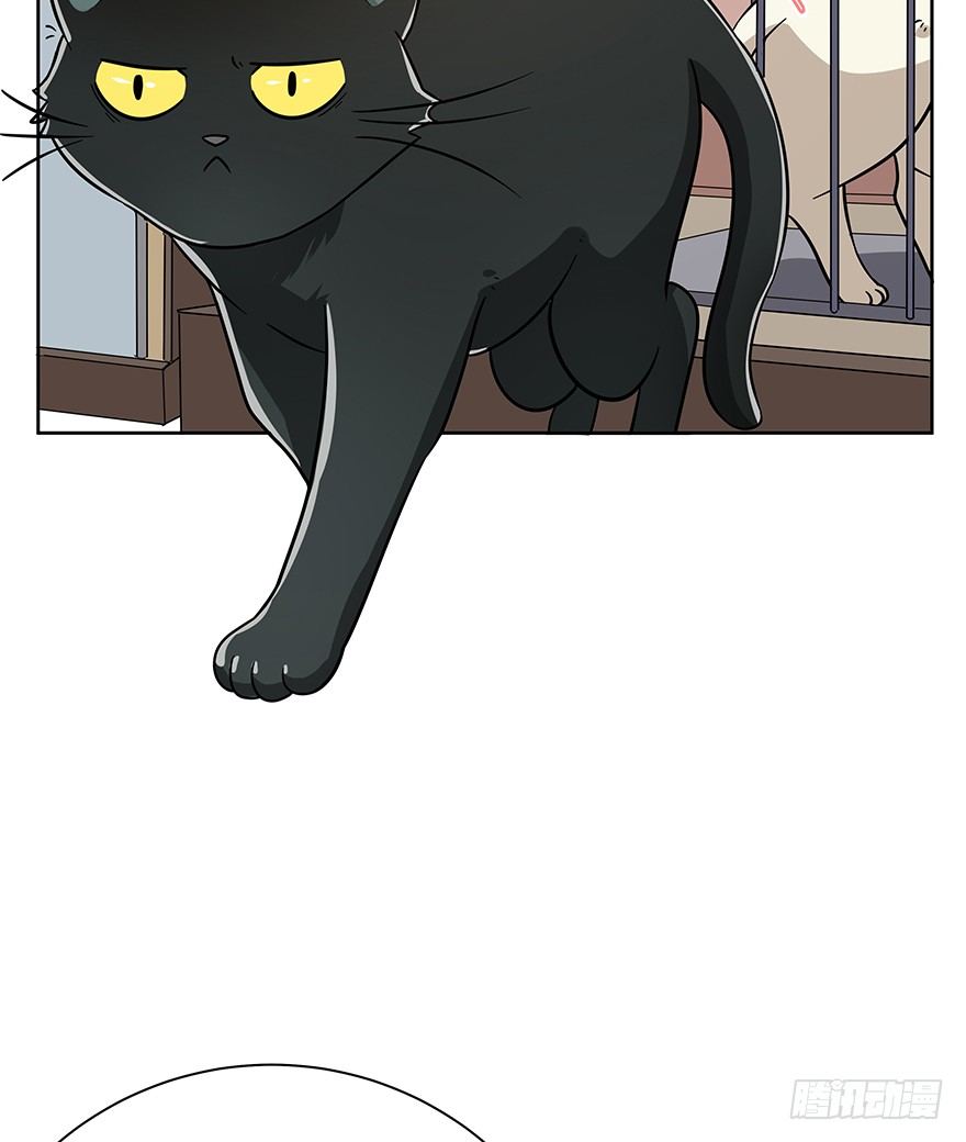 《回到过去变成猫外传》第104爪 下定决心 第8页