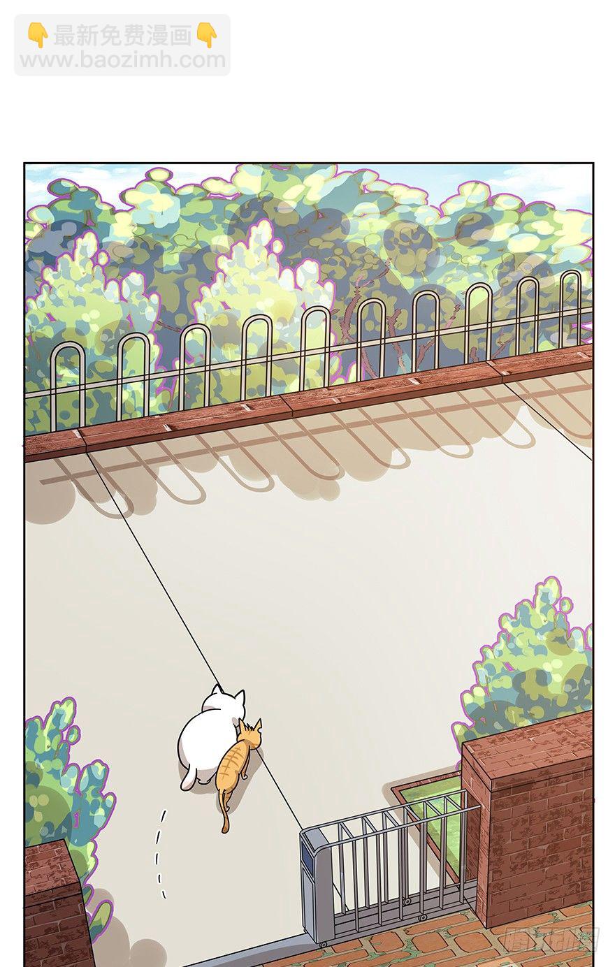 《回到过去变成猫外传》第107爪 一锅端（上） 第10页