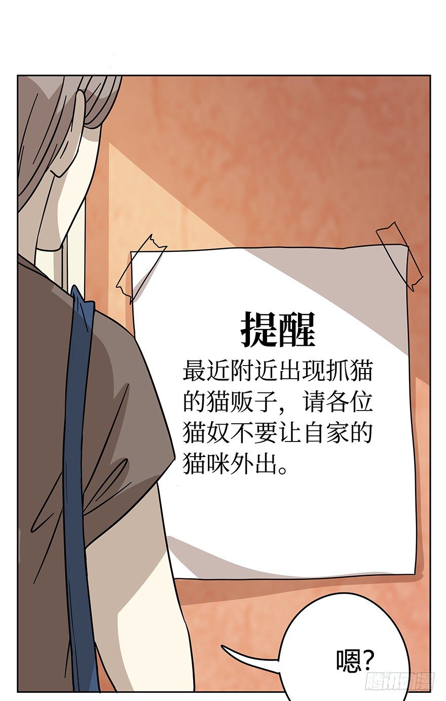 《回到过去变成猫外传》第107爪 一锅端（上） 第13页