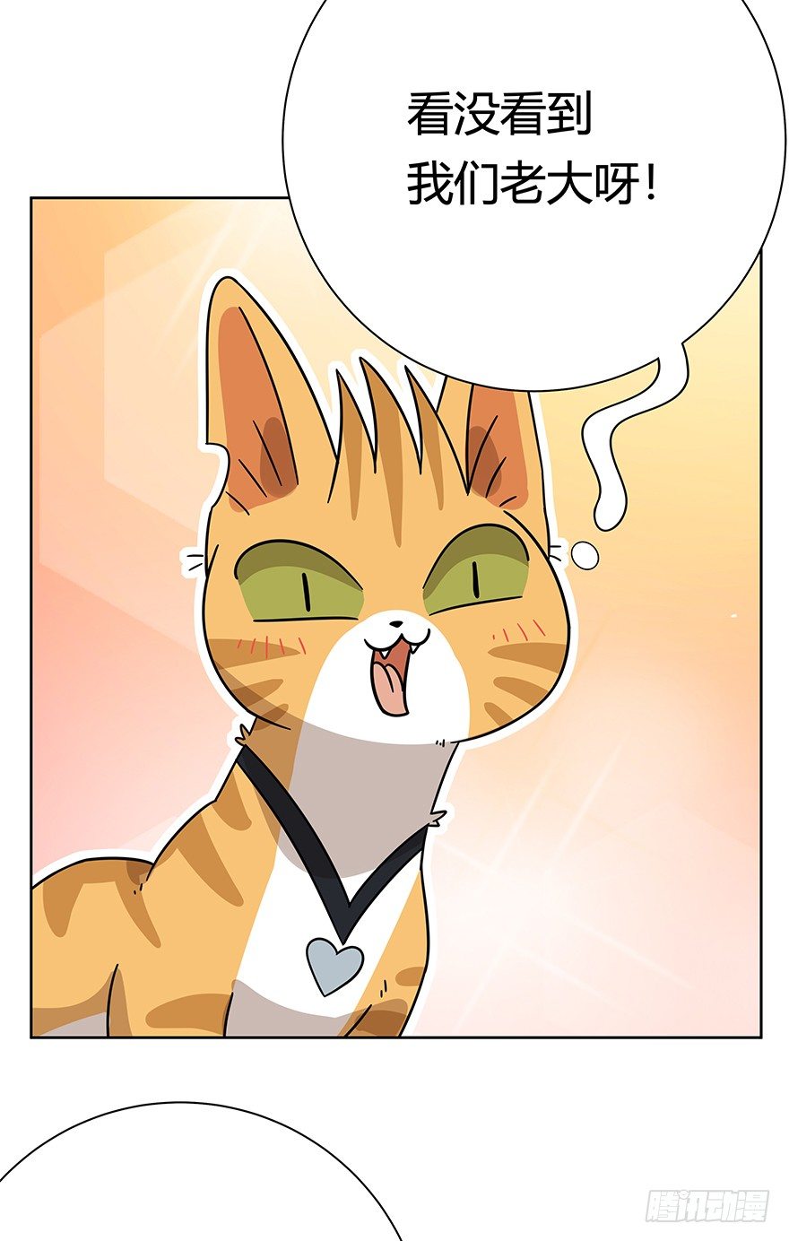 《回到过去变成猫外传》第107爪 一锅端（上） 第18页