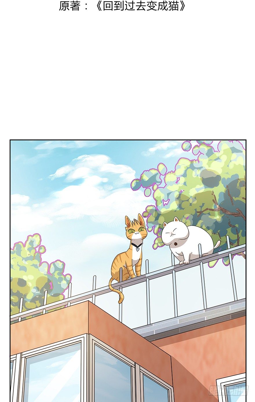 《回到过去变成猫外传》第107爪 一锅端（上） 第3页