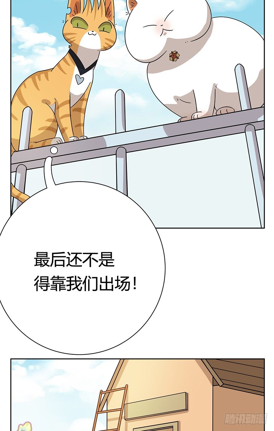《回到过去变成猫外传》第107爪 一锅端（上） 第6页
