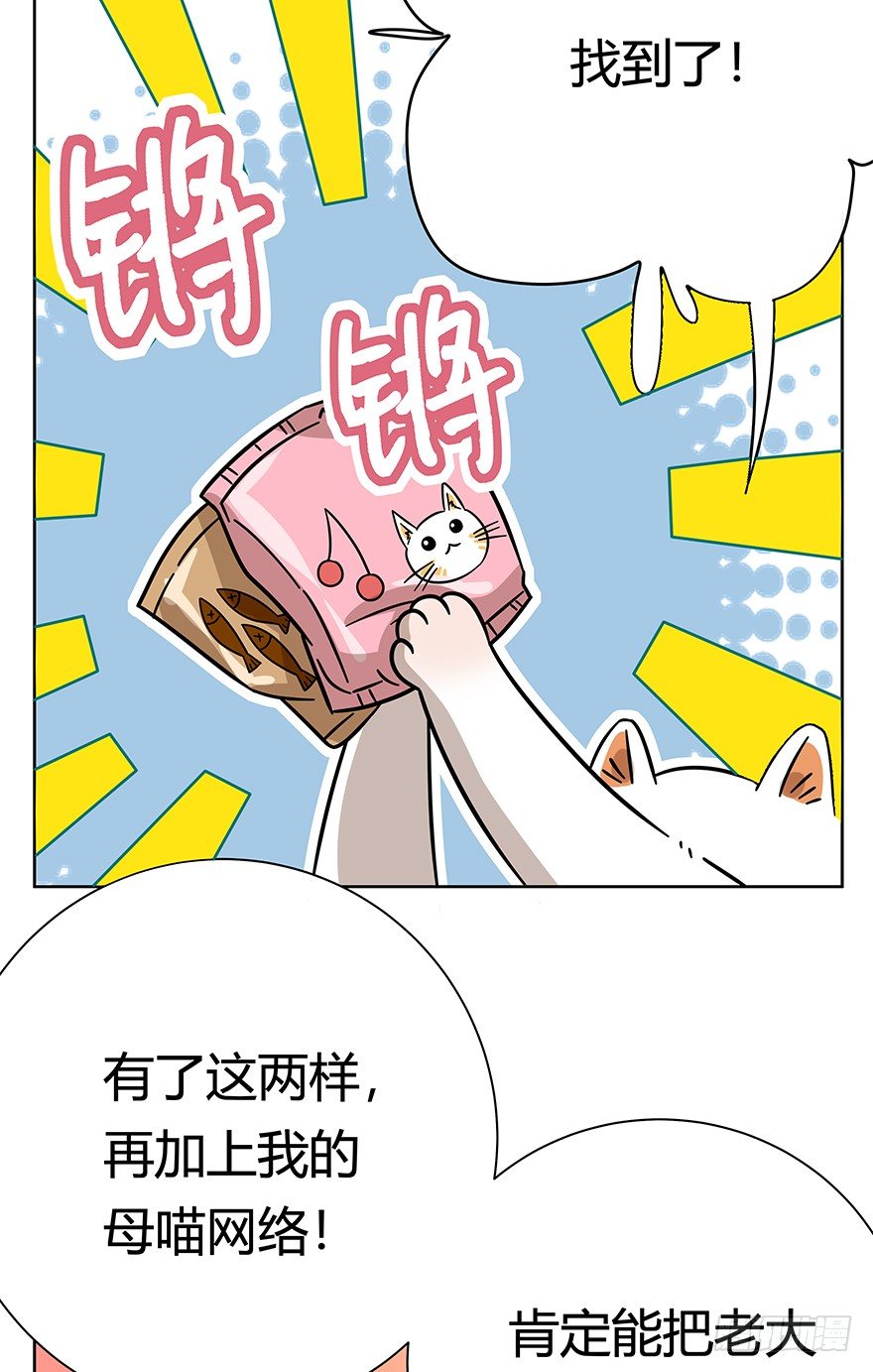《回到过去变成猫外传》第107爪 一锅端（上） 第8页