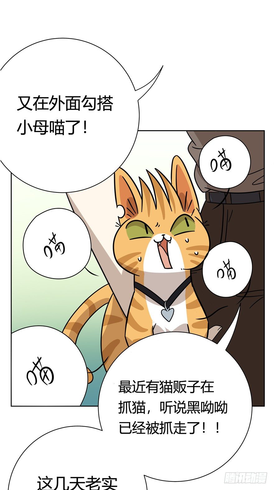 《回到过去变成猫外传》第108爪 一锅端（下） 第9页