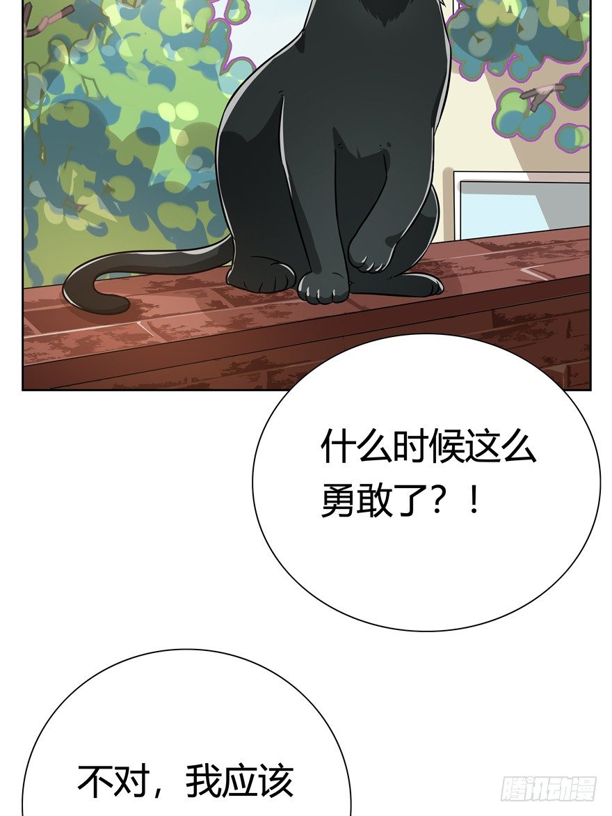 《回到过去变成猫外传》第110爪 一力承担（上） 第28页