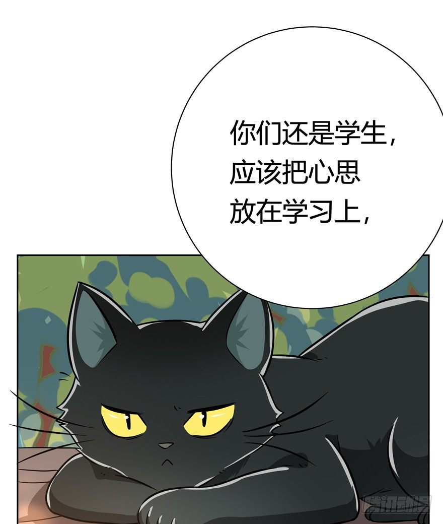 《回到过去变成猫外传》第110爪 一力承担（上） 第4页