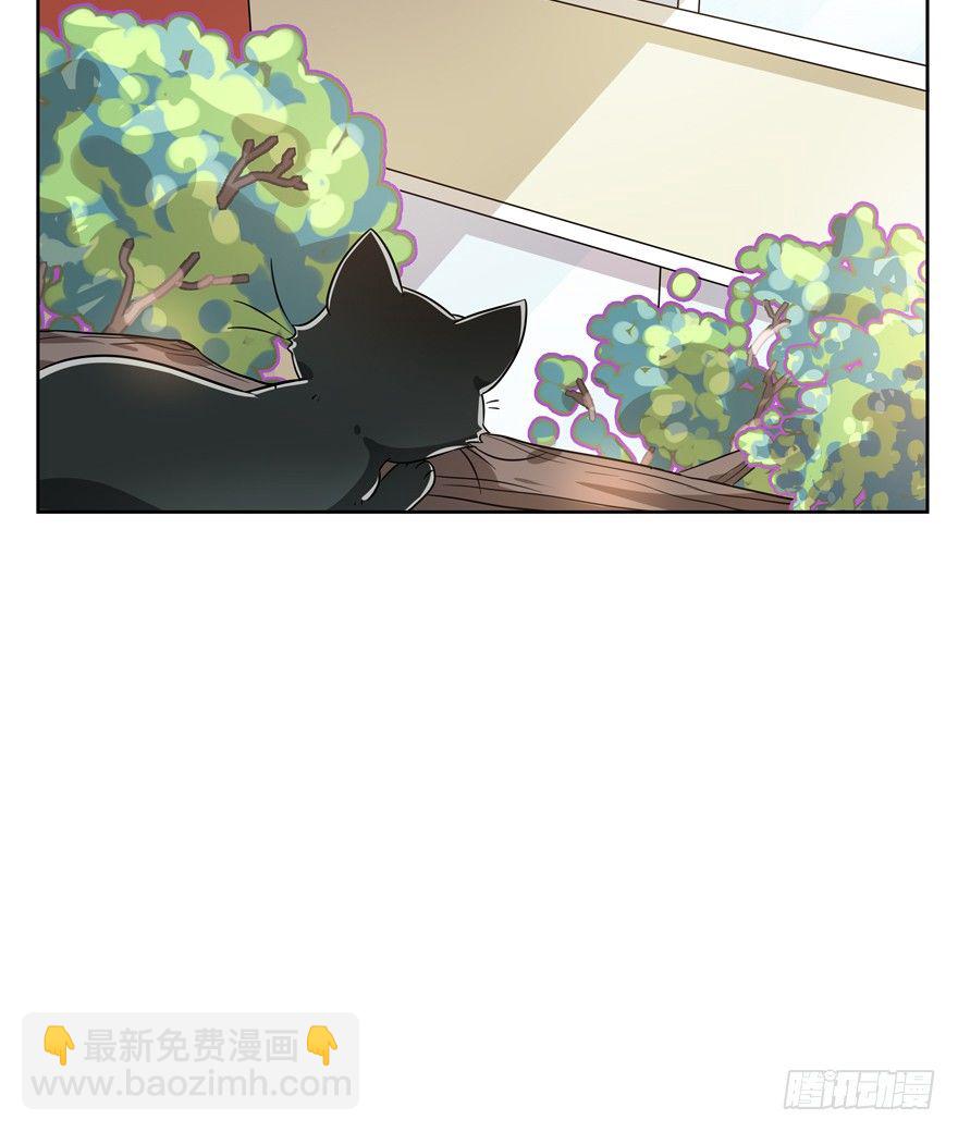 《回到过去变成猫外传》第110爪 一力承担（上） 第6页