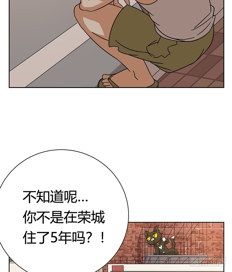 《回到过去变成猫外传》第112爪 不抛弃不放弃 第29页