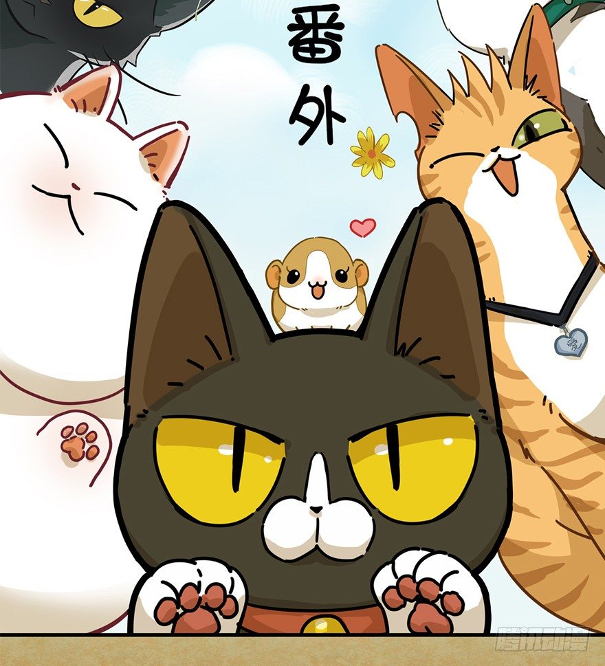 《回到过去变成猫外传》第112爪 不抛弃不放弃 第2页