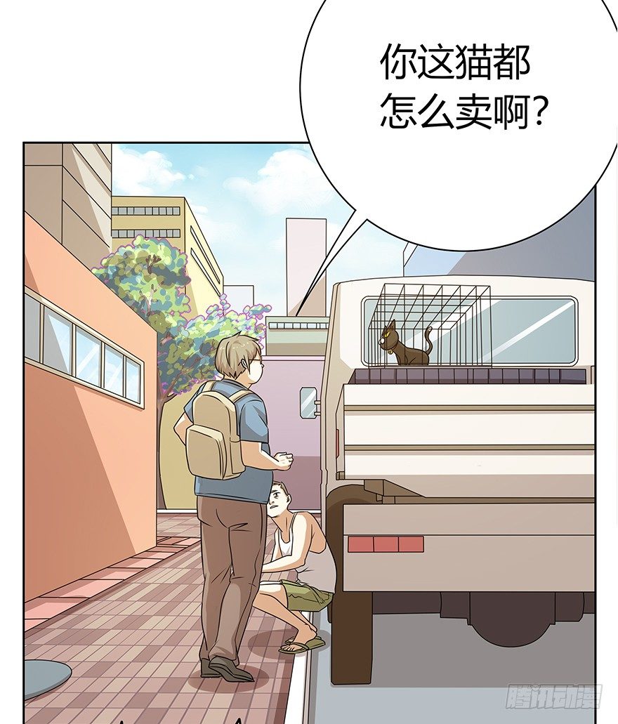 《回到过去变成猫外传》第112爪 不抛弃不放弃 第36页