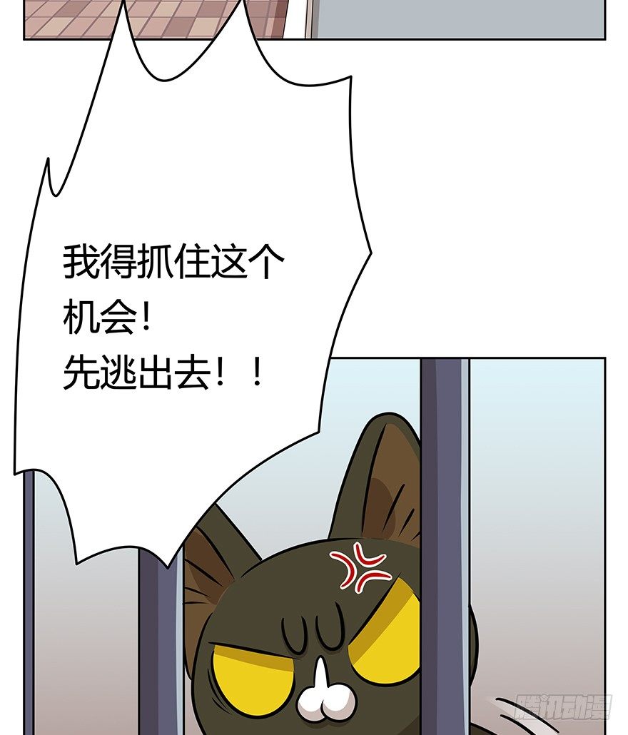 《回到过去变成猫外传》第112爪 不抛弃不放弃 第37页