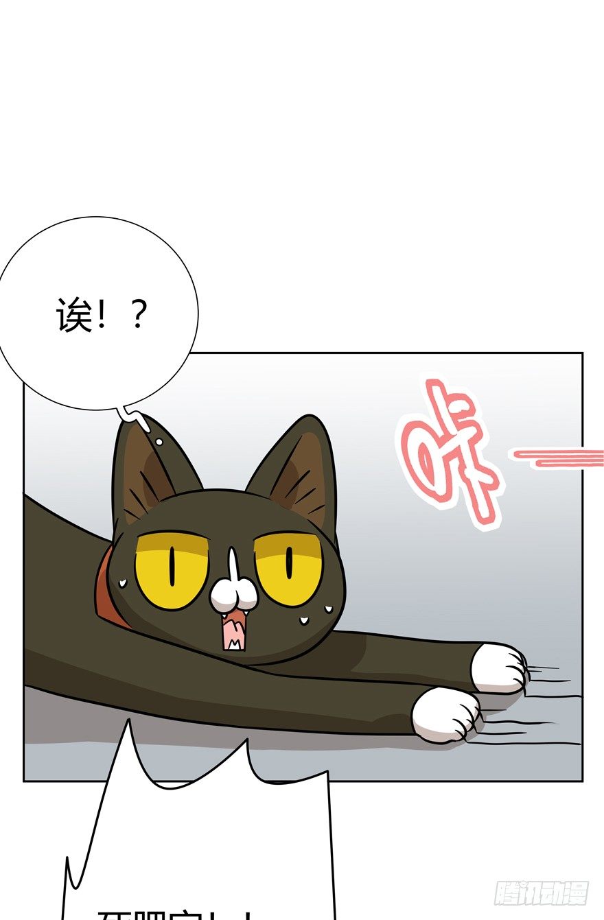 《回到过去变成猫外传》第114爪 敏捷的胖子（下） 第14页