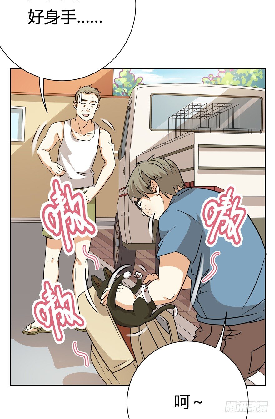 《回到过去变成猫外传》第114爪 敏捷的胖子（下） 第18页