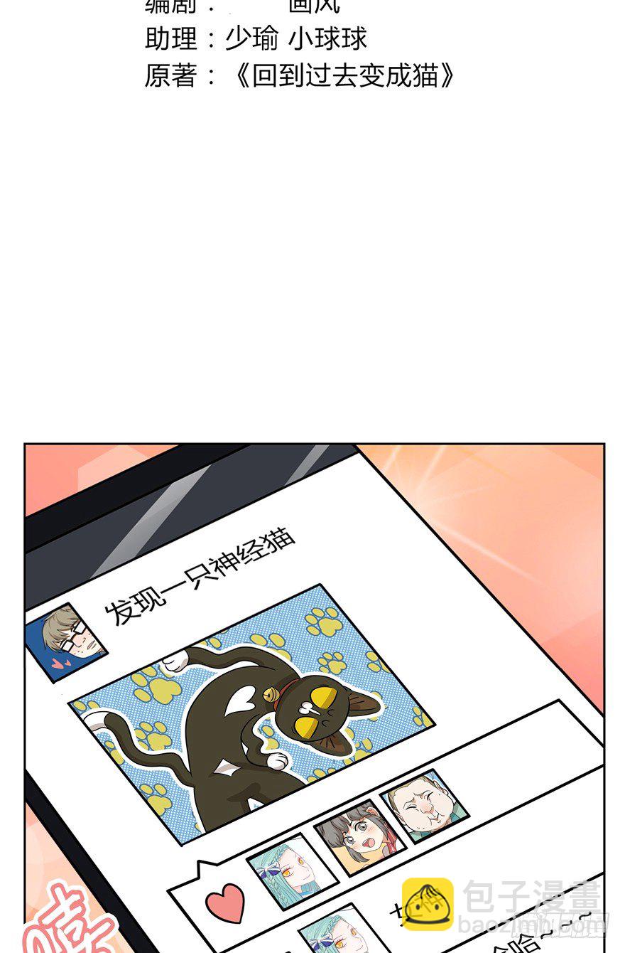 《回到过去变成猫外传》第114爪 敏捷的胖子（下） 第3页