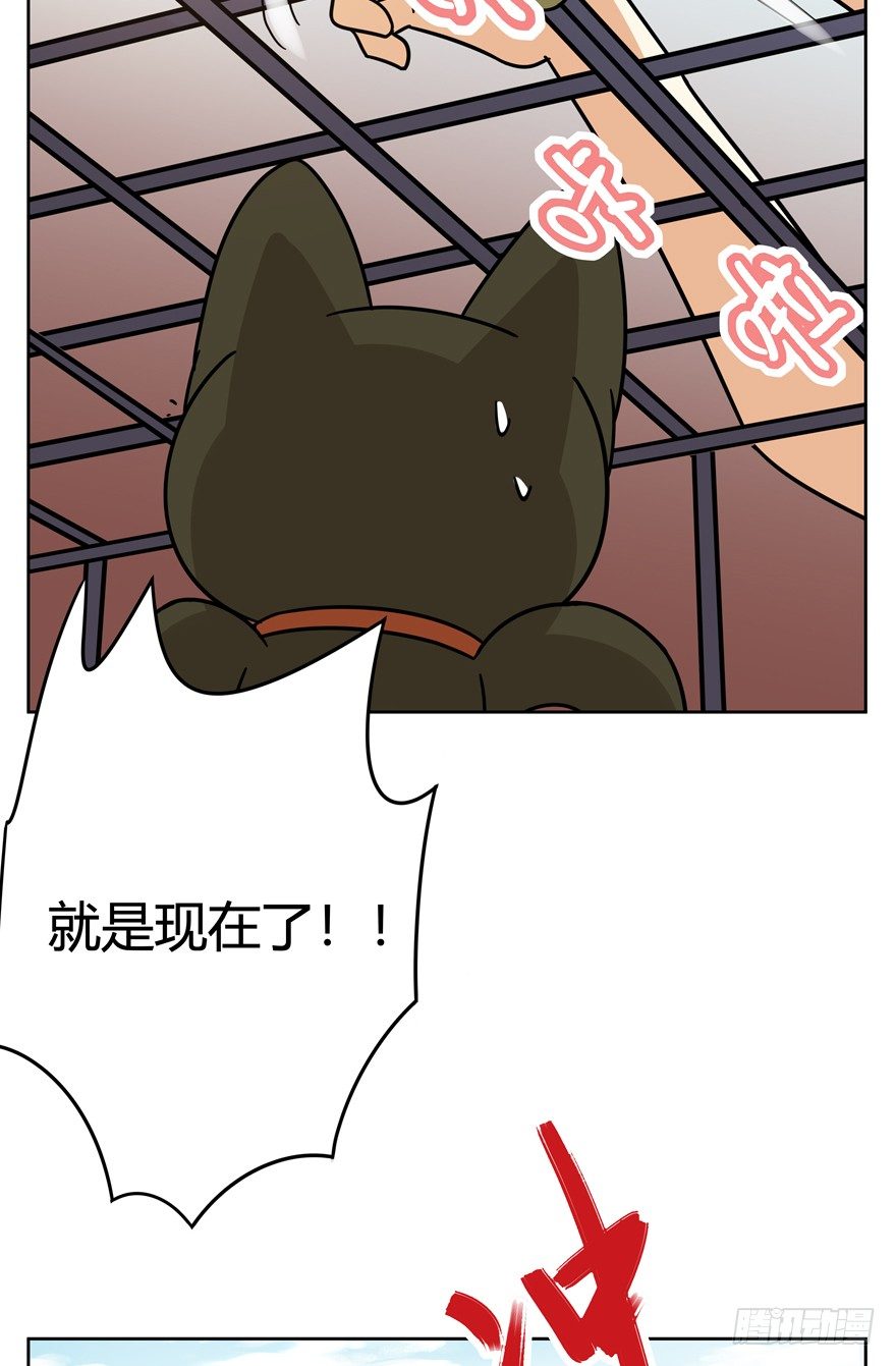 《回到过去变成猫外传》第114爪 敏捷的胖子（下） 第9页