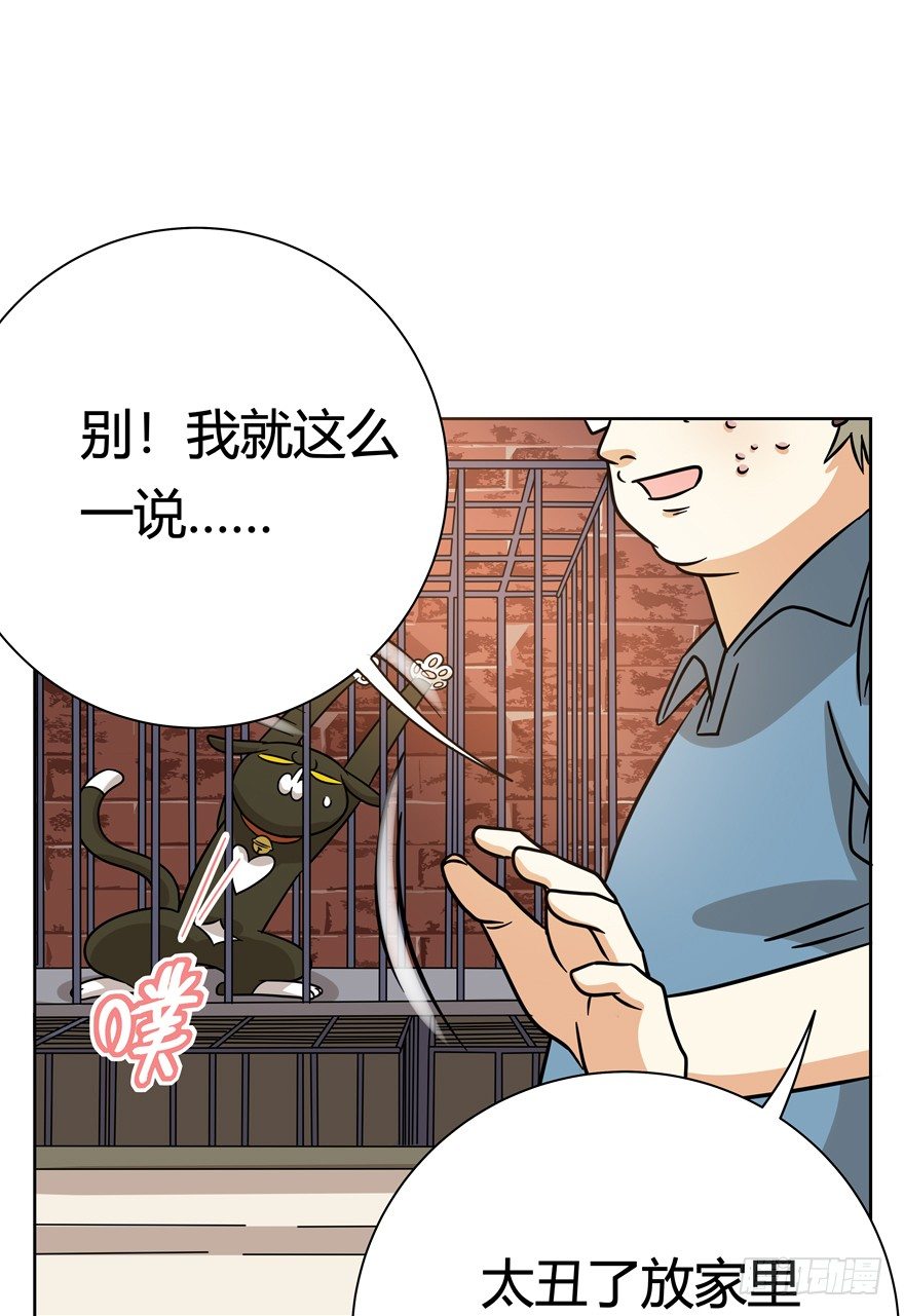 《回到过去变成猫外传》第113爪 敏捷的胖子（上） 第13页