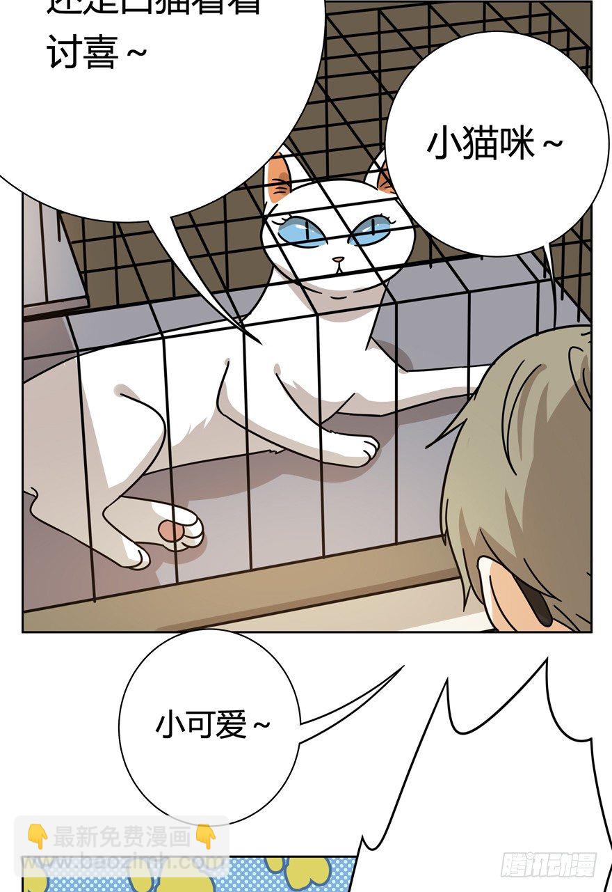 《回到过去变成猫外传》第113爪 敏捷的胖子（上） 第16页