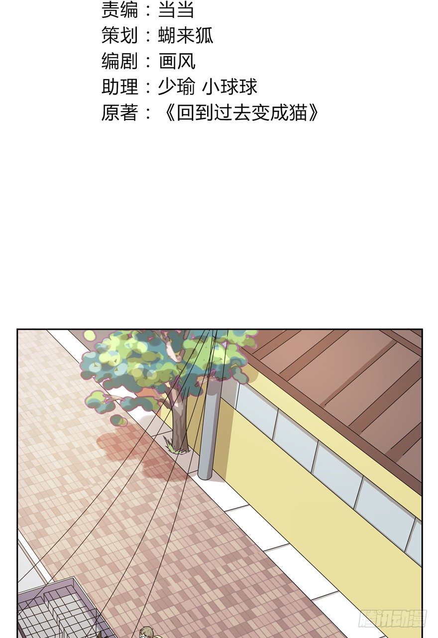 《回到过去变成猫外传》第113爪 敏捷的胖子（上） 第3页