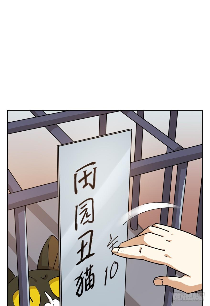 《回到过去变成猫外传》第113爪 敏捷的胖子（上） 第7页