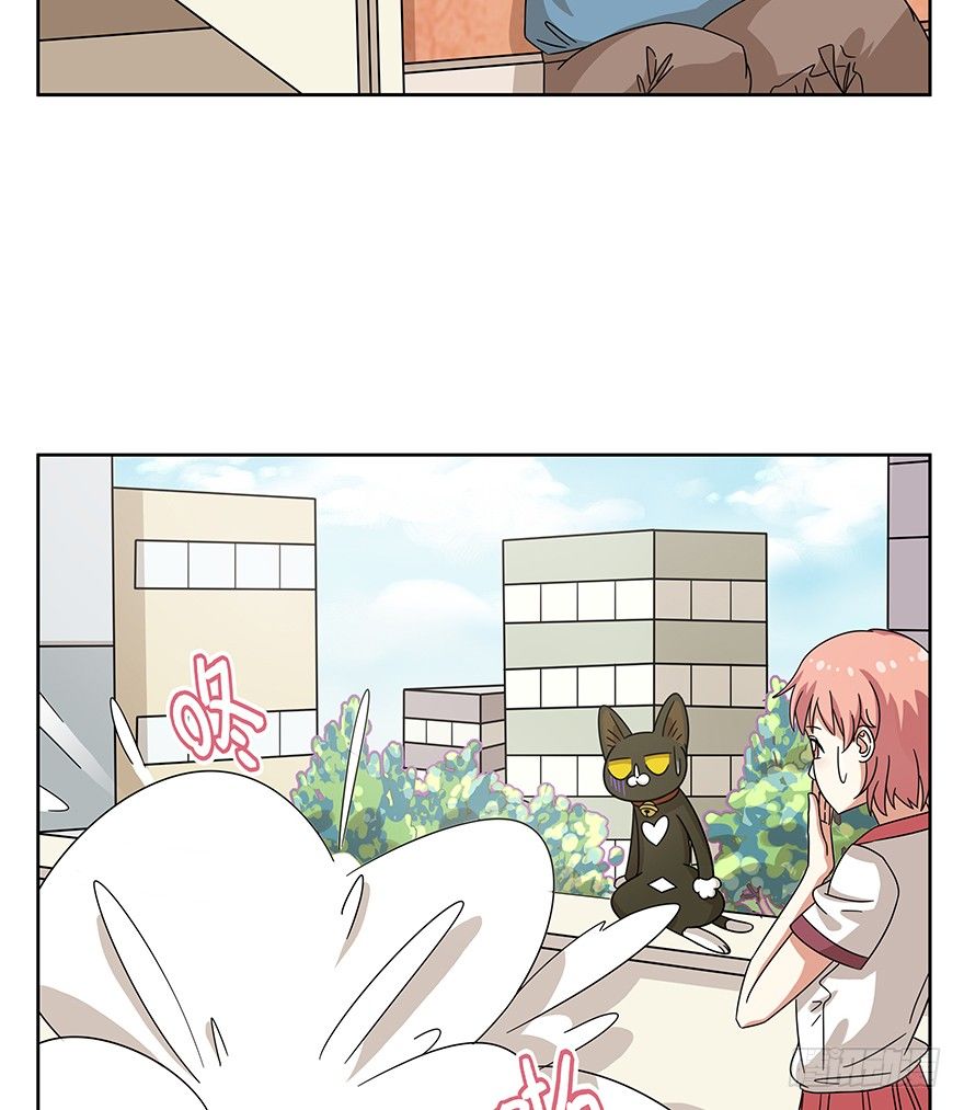 《回到过去变成猫外传》第118爪 杀回大本营（上） 第14页